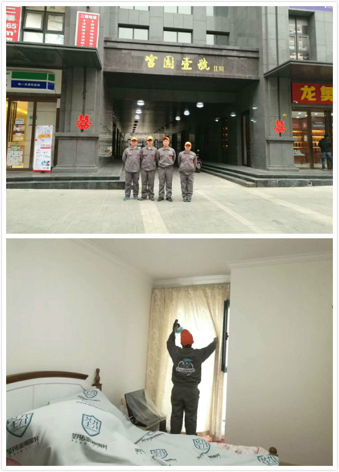 荃芬专业净醛服务